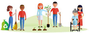 Field of Play/Line Judge